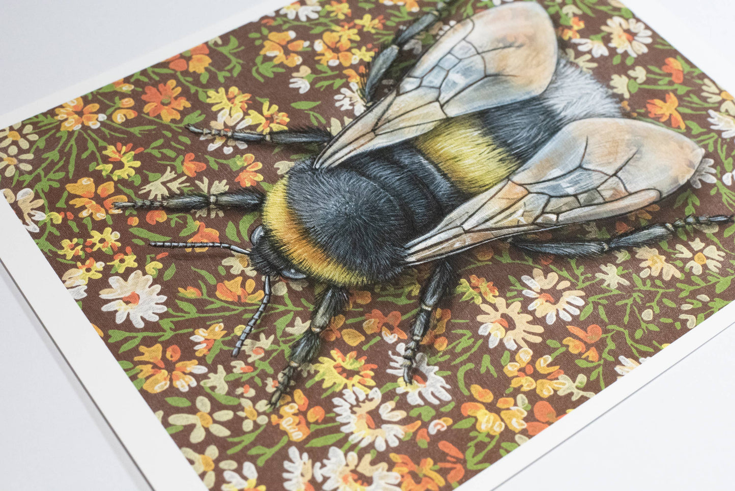 Bumblebee Brown Fine Art Print