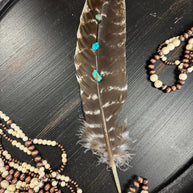Turquoise Studded Natural Barred Turkey Feathers