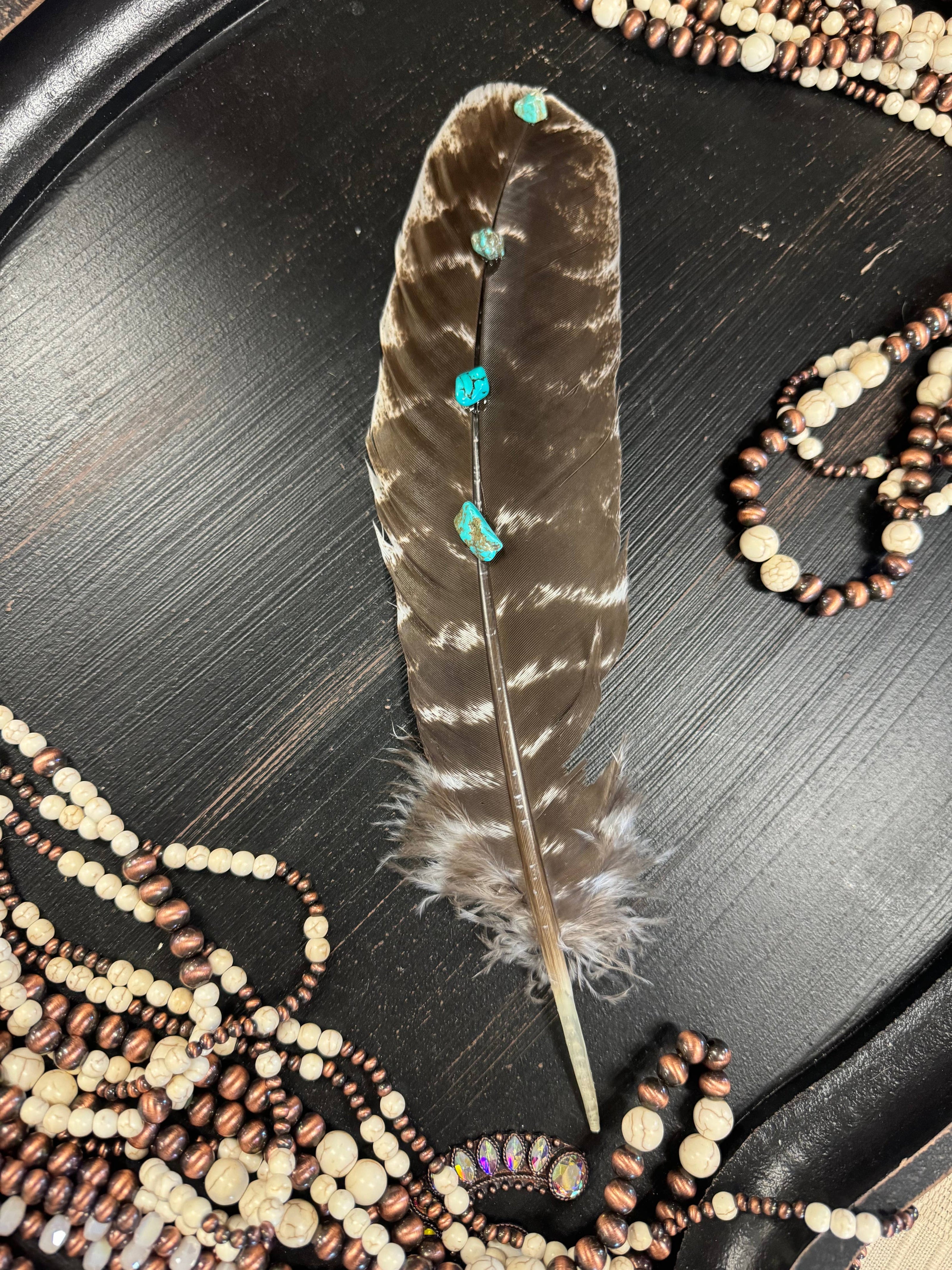 Turquoise Studded Natural Barred Turkey Feathers