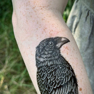 Raven Temporary Tattoo
