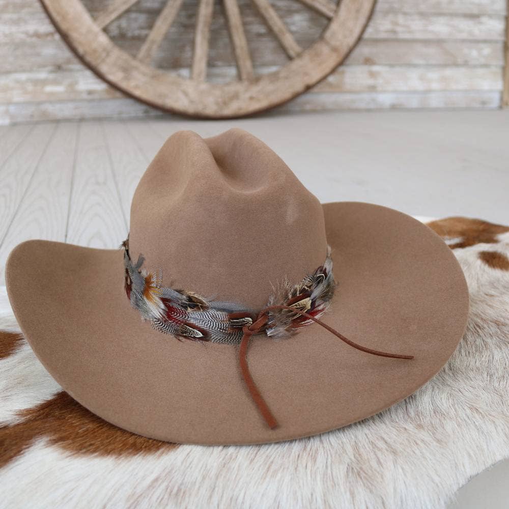 Western Feather Dripping Springs II Hat Band