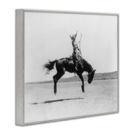 Galloping Rodeo Cowgirl Framed Art