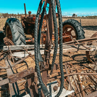 The Xia , a Haute Southern Hyde by Beth Marie Exclusive