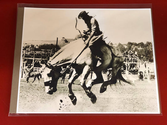 Vintage Bronc Poster