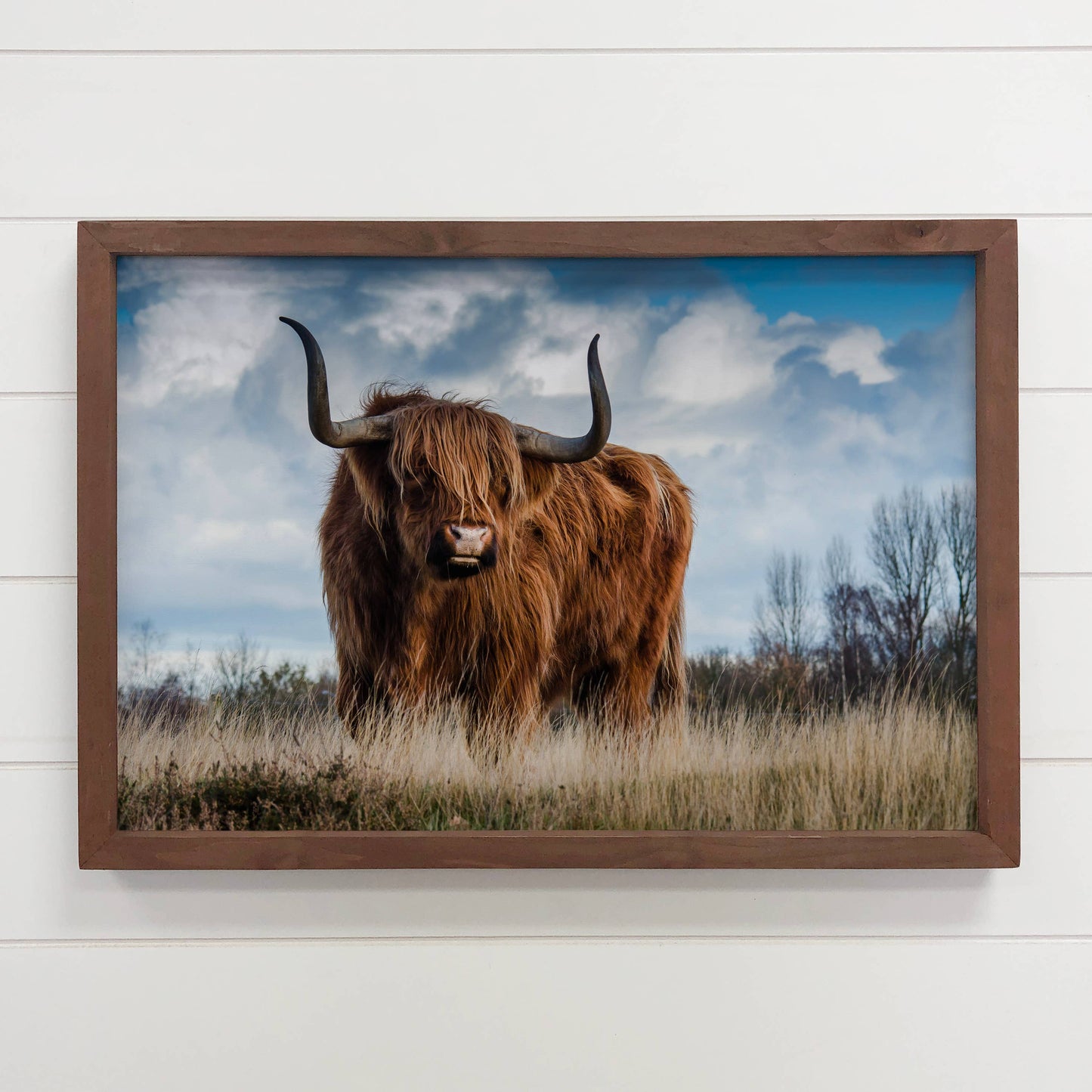 Majestic Highland Cow Canvas Art with Thick Wood Frame